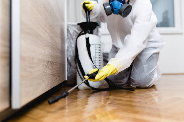 Best Exterminator Services  in New London, WI