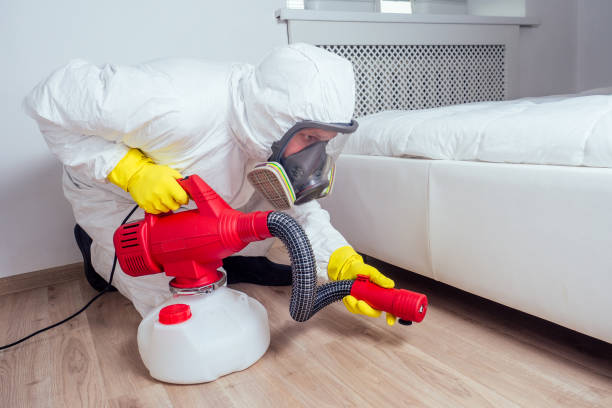 Best Pest Control Cost  in New London, WI