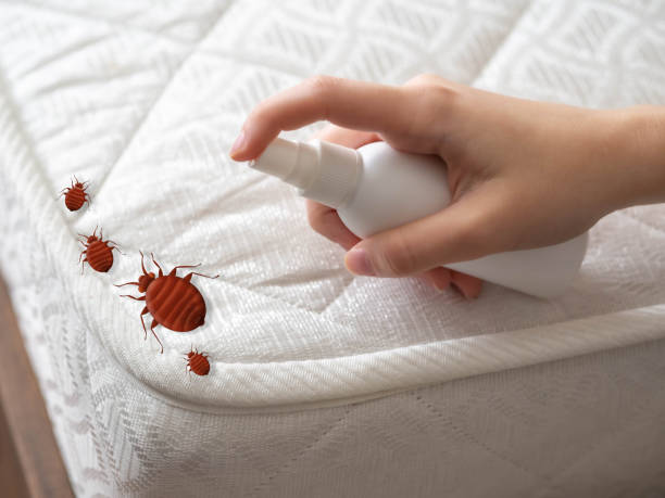 Best Pest Prevention Services  in New London, WI