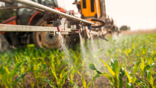 Pest Control Cost in New London, WI